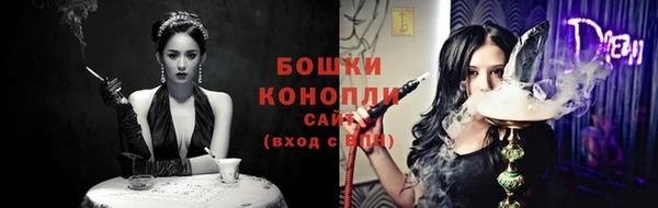дмт Белокуриха