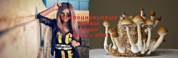 эйфоретик Белоозёрский