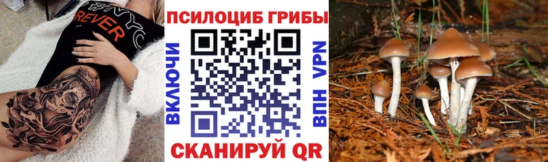 Псилоцибиновые грибы прущие грибы  Верхотурье 